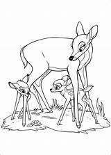 Bambi Pianetabambini Sarete Funzioni Diretta Ricordiamo Alternativa Utilizzare Infine sketch template
