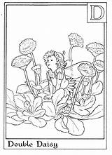 Coloring Pages Flower Fairy Fairies Alphabet Colouring Sheets Color Adult Printable Getcolorings Barker Cicely Mary Print Books Coloringfolder Choose Board sketch template