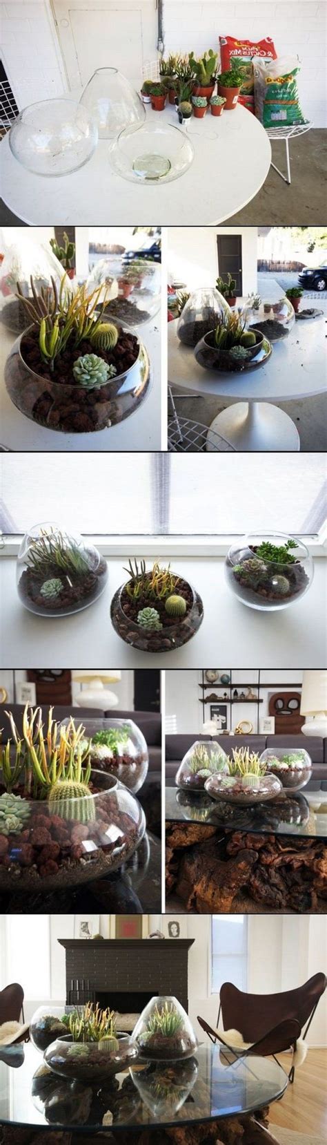 stunninghubs diy terrarium ideas