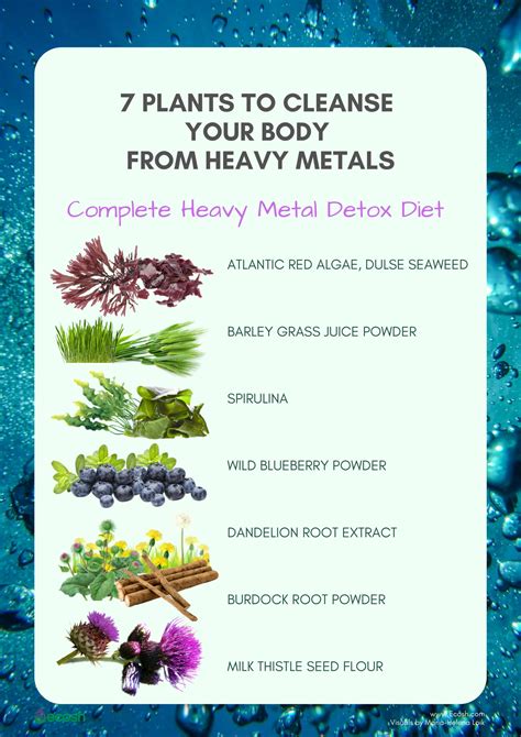 full detox  plants  cleanse  body  heavy metals ecosh