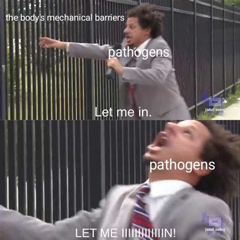 immune system memes   rsciencememes