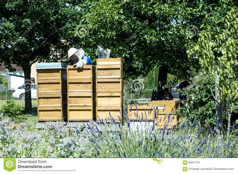 koblenz duitsland imker op bijenkorf het letten op bijen bijen op honingraten