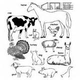 Animals Coloring Groups Farm Ll Category sketch template