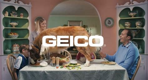 this geico advert is over before it begins but you can t