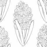 Hyacinth Seamless sketch template