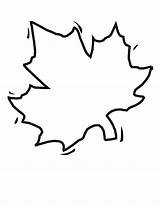 Leaf Coloring Blank Clipart Leaves Autumn Template Stencil Pages Large Fall Clip Color Apple Cliparts Letters Colouring Drawing Library Find sketch template