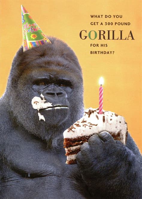 Designer Greetings 300 Pound Gorilla Eating A Piece Of Cake Funny