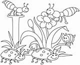 Coloring Spring Pages Clipart Printable Clip Colouring Library Kindergarten sketch template