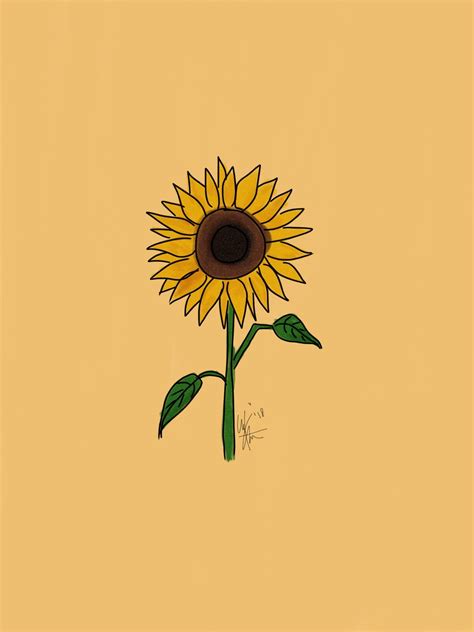 sunflower drawing wallpapers top  sunflower drawing backgrounds