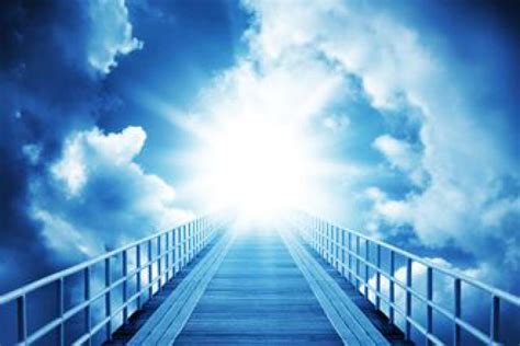 de pioenroos een brug voor bijzondere mensen naar de wereld  jezus meedelen dat het niet