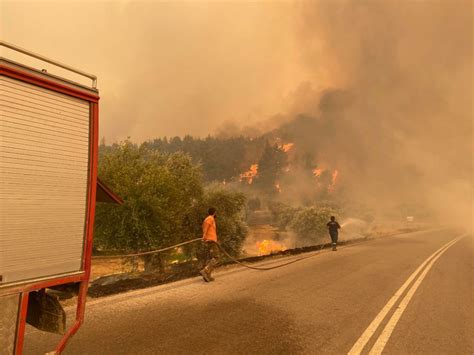 fires  greece leave ruins  devastation  greekreportercom