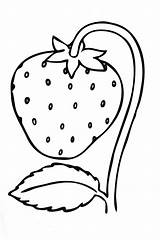 Coloring Strawberry Pages Fruits Vegetables Berries Grapes sketch template