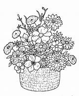 Coloring Flower Pages Bouquet Detailed Basket Flowers Wildflower Printable Print Drawing Drawings Colouring Adult Adults Wild Bunch Baskets Google Search sketch template