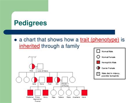 Ppt Pedigrees And Sex Linked Traits Powerpoint Presentation Free