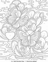 Doverpublications Papillon Vlinders Mariposas Coloringideas sketch template