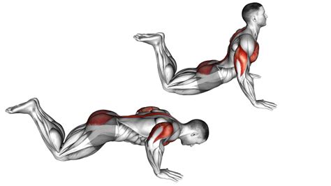 hindu pushups   benefits  muscle worked