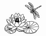 Lotus Flower Coloring Colorear Coloringcrew sketch template