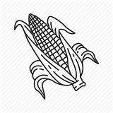 Corn Cob Ear Stalk Drawing Icon Wild Getdrawings sketch template