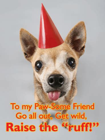 party animal funny birthday card  friends birthday greeting