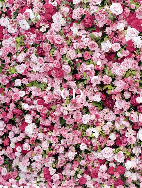 dior site officiel dior flowers dior flower wall  dior