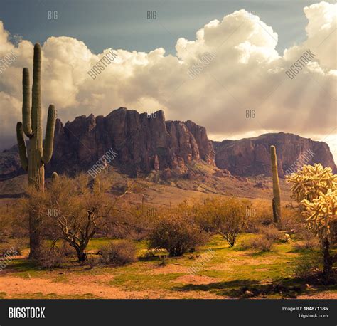 arizona desert image photo  trial bigstock