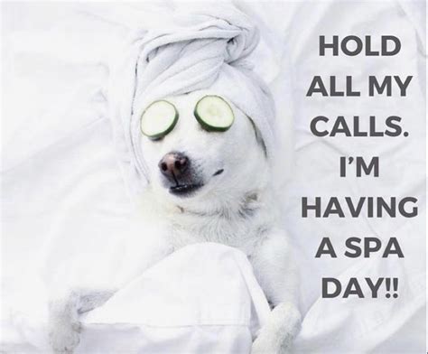 spa days spa quotes spa quotes funny spa day
