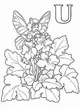 Elfjes Coloring Alfabet Kleurplaten Pages Voor Fairy Alphabet Volwassenen Fairies Fun Kids Van Coloriage Dessin Bloemen Colorier Kleurplaat Mandala Feeën sketch template