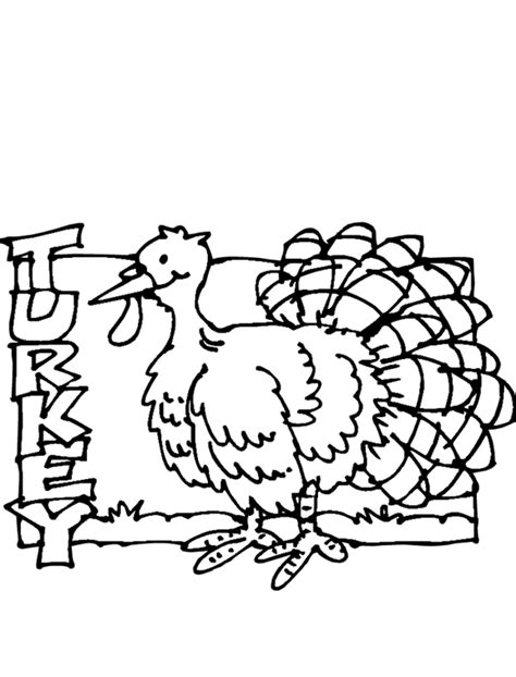 turkey coloring page purple kitty