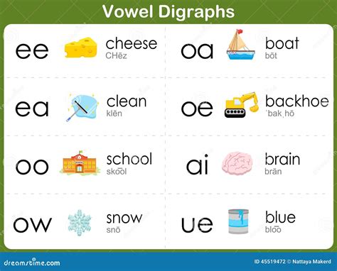 vowel digraphs worksheet  kids stock vector image