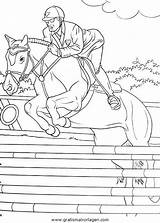 Springreiten Springpferd Equitazione Malvorlage Disegno Pferde Ausmalen Mit Verschiedene Sportarten Stampare Kategorien sketch template