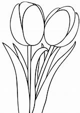 Tulip Coloring Pages Flower Single Printable Kids Tulips Color Getdrawings Clipartbest Print Getcolorings Yellow Drawing sketch template