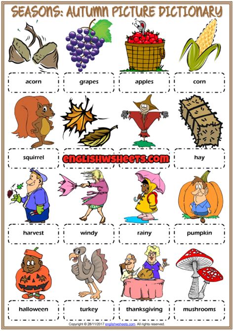 autumn esl printable picture dictionary worksheet  kids