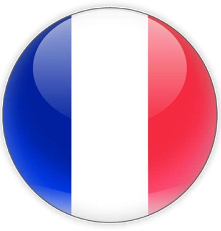 french resources learn   teach