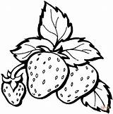 Coloring Pages Strawberry Strawberries Drawing sketch template