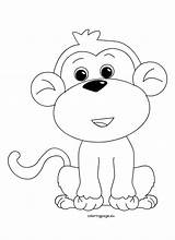 Monkey Coloring Sheet Animal sketch template