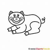 Schweinchen Malvorlage Schwein Bauernhof Ausdrucken Titel Zugriffe Malvorlagen Malvorlagenkostenlos sketch template