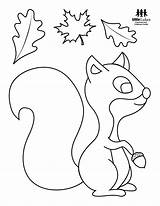 Squirrel Lukes sketch template