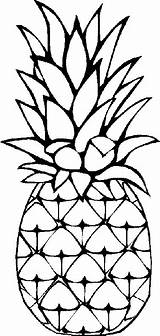 Ananas Coloriages sketch template