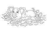Coloring Vector Piggy sketch template