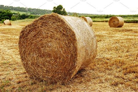 haystack   field high quality nature stock  creative market