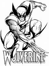 Wolverine Coloring Pages Printable Superheroes Drawings sketch template