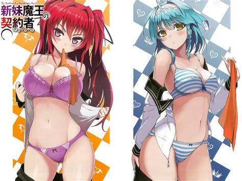 46 best images about the testament of sister new devil on