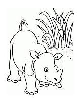 Coloring Rhinoceros Baby sketch template
