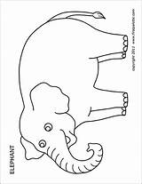 Firstpalette Animal Pygmy Hippopotamus sketch template