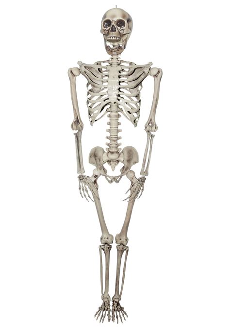 titan skeleton