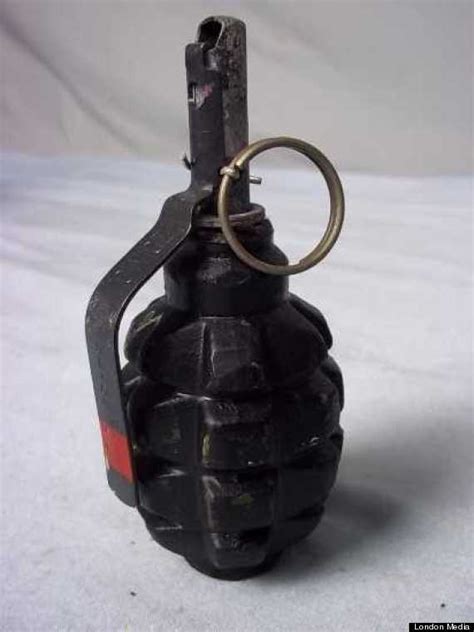 grenades similar     nicola hughes  fiona bone    internet