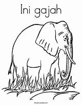 Coloring Gajah Ini Elephant Print Ll sketch template