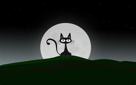 Funny Cat Cartoons 6 Desktop Background On Black Cat