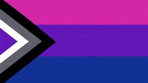 I Redesigned The Biromantic Asexual Flag What Do You Think Asexuality