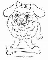 Poodle Colouring Print sketch template